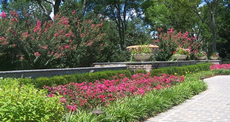 Using Color to Enhance Your Landscape