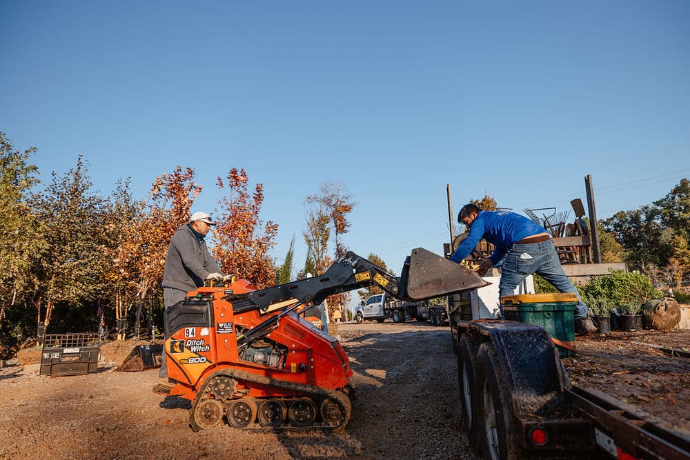 Gallery photos for Willow Branch Landscapes Team: Image #2