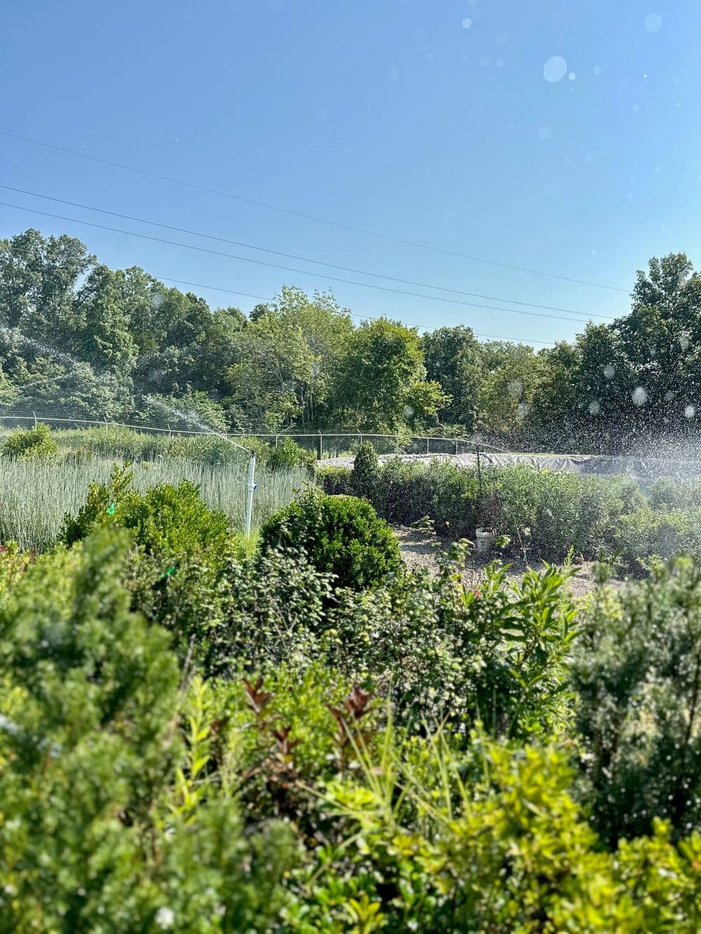 Gallery photos for Willow Branch Landscapes Team: Image #21